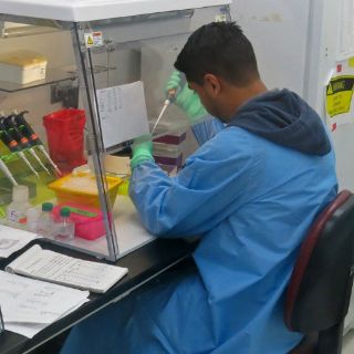 Médicos colombianos investigan secuelas neurológicas del zika