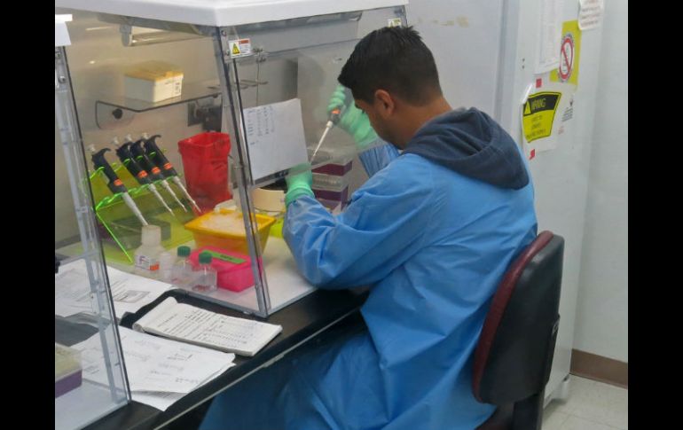 El zika circula actualmente en gran parte de países de Latinoamérica y el Caribe. AP / ARCHIVO