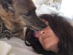 Salma siempre ha hecho público su amor por los animales. INSTAGRAM / salmahayek