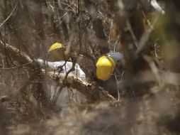 El hecho ocurrió en Mapimí, Durango, dejando además 28 heridos. EL INFORMADOR / ARCHIVO