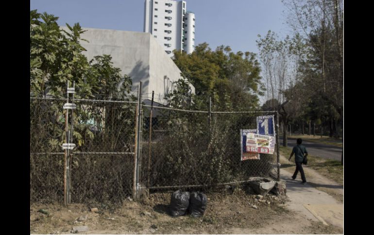 Predio recuperado en las inmediaciones del arroyo, tras declararlo área natural protegida. EL INFORMADOR / R. Tamayo