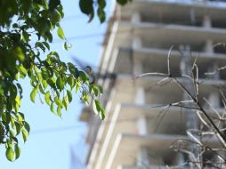 El producto de las sanciones se destinará a un fondo verde para el desarrollo de obras benéficas para la ciudad. EL INFORMADOR / R. Tamayo