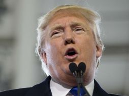 Trump también aparece en el 80 por ciento en las menciones en Twitter. AP / J. Minchillo