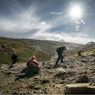 Científicos, tras el rastro de los últimos dinosaurios
