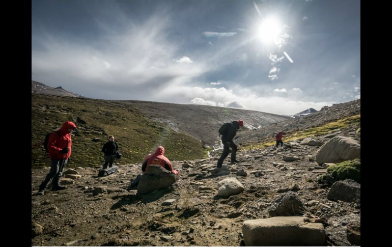 Hasta ahora se han encontrado restos de hadrosaurios y de un terópodo. EFE /