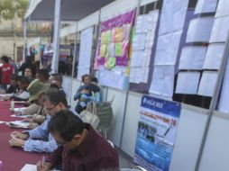 Durante 2016, la STPS efectuó 22 ferias de empleo en el interior del Estado. EL INFORMADOR / ARCHIVO