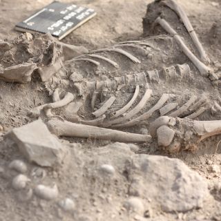 Descubren 200 nuevos asentamientos indígenas