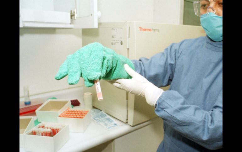 Las células madre adultas se trasladan y se reproducen mejorando la función de los órganos. NTX / ARCHIVO