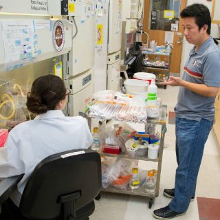 Crece evidencia de relación entre zika y desórdenes neurológicos: OMS