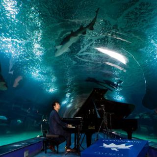 Lang Lang 'hace bailar' a los tiburones en Valencia