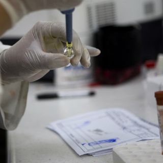 La influenza AH1N1 no está asociada con animales