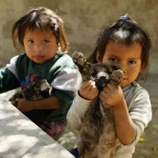 En Colombia, mueren 29 niños por probable desnutrición