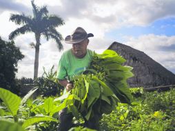 Los trabajadores dicen que están ansiosos por ver más beneficios de los crecientes vínculos de Cuba. AP /