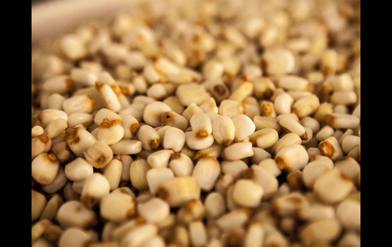 Ha ido en aumento el uso de esta bacteria en los sembradíos de maíz. EL INFORMADOR / ARCHIVO