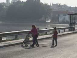 El Ayuntamiento comenzará a trabajar de inmediato para crear la nueva Fiscalía Ambiental. EL INFORMADOR / ARCHIVO