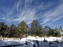 Para la región central se espera el registro de temperaturas mínimas de 6 a 12 y de 8 a 14 grados Celsius. NTX / ARCHIVO