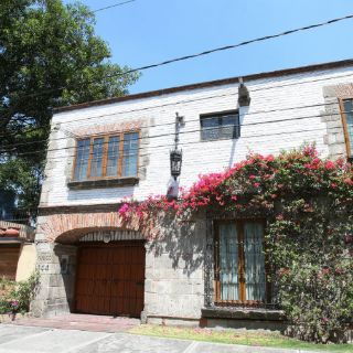 Las rosas amarillas vuelven a la casa de García Márquez