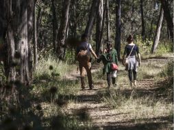 El juez quinto reconoció la importancia ambiental, ecológico y social de esta zona protegida. EL INFORMADOR / ARCHIVO