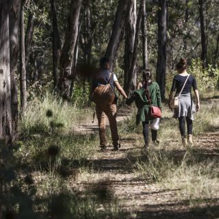 Ganan otra batalla a favor de Los Colomos