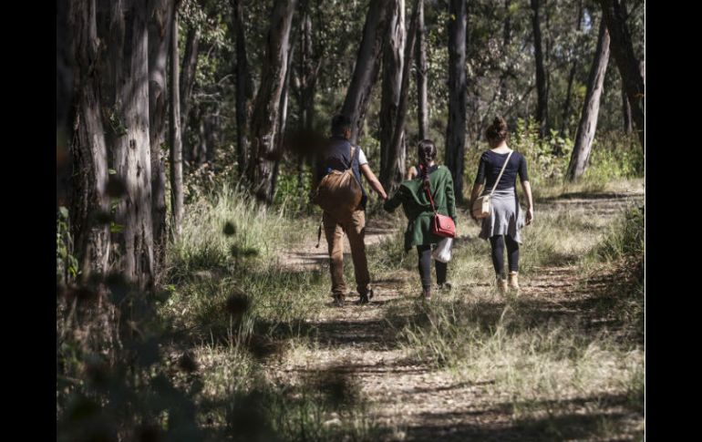 El juez quinto reconoció la importancia ambiental, ecológico y social de esta zona protegida. EL INFORMADOR / ARCHIVO