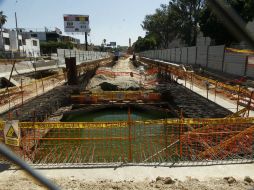 El agua es verdos y en su superficie se formaron larvas de fauna nociva. EL INFORMADOR / E. Barrera