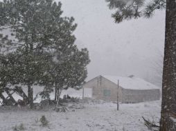 Indican que el temómetro en algunas zonas registró menos cinco a cero grados centígrados. NTX / ARCHIVO