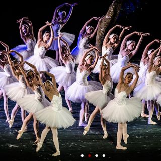 Cancelan otra función de 'El lago de los cisnes'