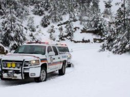 Imagen de la caída de nieve en el Nevado de Colima. ESPECIAL /