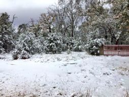 La caía de nieve en lugares como Mezquitic fue de tres a cinco centímetros. TWITTER / @RobertoLopezJal