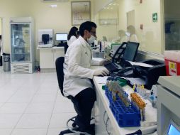 El diagnóstico normalmente incluye radiografías del pecho y reconocimientos microbiológicos. EL INFORMADOR / ARCHIVO