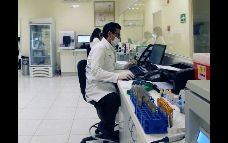 El diagnóstico normalmente incluye radiografías del pecho y reconocimientos microbiológicos. EL INFORMADOR / ARCHIVO