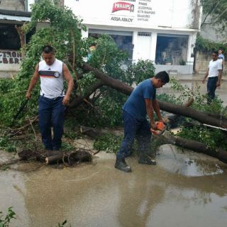 Viento daña 120 casas en siete municipios de Guerrero