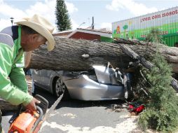 La CFE precisa que hasta el momento se han destinado más de cinco mil trabajadores para atender la situación.  /