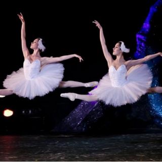 'El lago de los cisnes' cancela este jueves; no habrá reposición