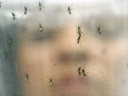 Todos los casos son atribuidos a contagios en el extranjero. AP / ARCHIVO