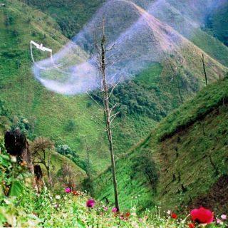 Piden en EU mayor apoyo mexicano para enfrentar muertes por heroína