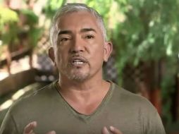 Su objetivo era adiestrar al animal para que dejara de atacar a las mascotas. YOUTUBE / Vicki Dawe Flyball