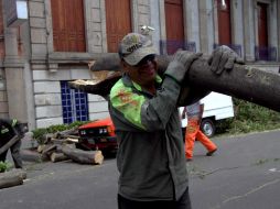 El Cuerpo de Bomberos está en alerta y trabajando con 700 elementos, 200 elementos y 110 motosierras. NTX / N. Tavira