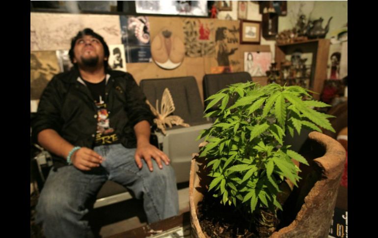 ''Debemos hablar con toda claridad y sin ambigüedades'', dice el purpurado en relación a la mariguana. SUN / ARCHIVO