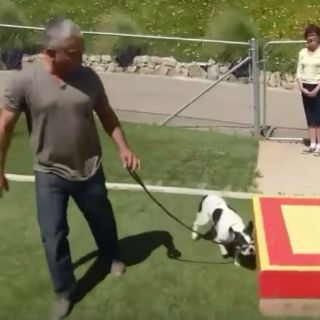 Piden a National Geographic no transmitir 'Cesar 911'