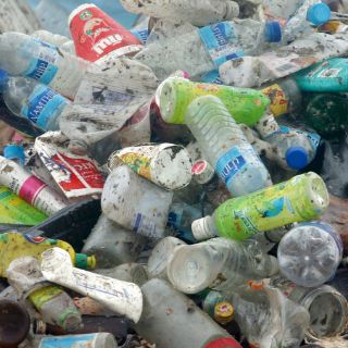 Descubren una bacteria que 'se come' el plástico