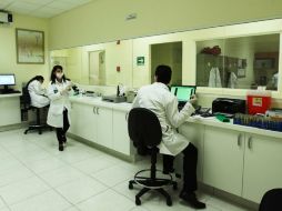 El colesterol 'bueno' tiene una relación con el riesgo de enfermedades cardiacas. EL INFORMADOR / ARCHIVO