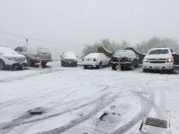 Resaltan que algunos alimentos podrían resultar afectados debido a que las nevadas afectaron varias nevadas. NTX / ARCHIVO