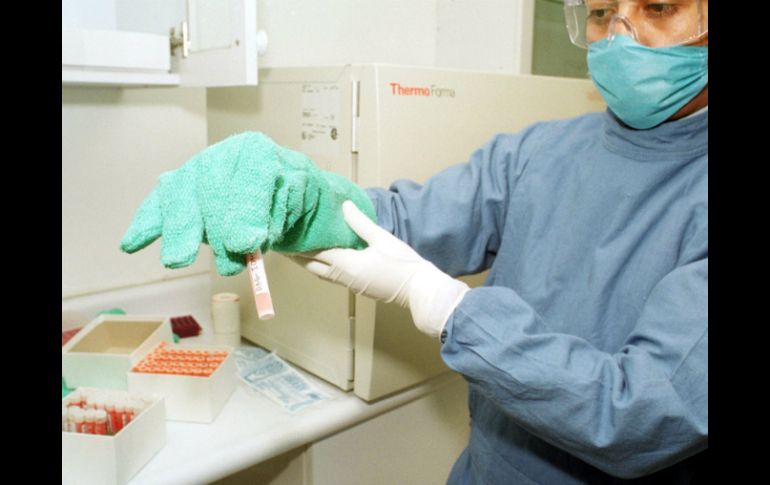 El estudio permite avanzar en un campo de interés para la medicina regenerativa y para entender el proceso del cáncer. NTX / ARCHIVO