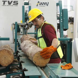 Ajuste al gasto incidirá positivamente: CEESP