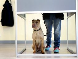 En Renania Palatinado resisten en cabeza los socialdemócratas. EFE / R. Hartmann