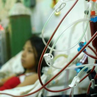 Académicas mexicanas identifican genes que provocan enfermedad renal