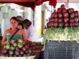 Los vendedores de pitaya tendrán la posibilidad de instalarse a partir de este lunes 14 de marzo y hasta el jueves 30 de junio. EL INFORMADOR / ARCHIVO