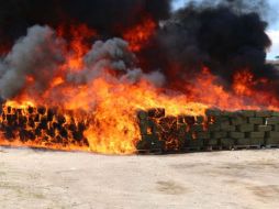 Participaron elementos de Protección Civil y Bomberos. TWITTER / @PGR_Jal