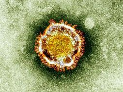 Cinco minutos son los necesarios para encontrar los virus infecciosos. AFP / ARCHIVO